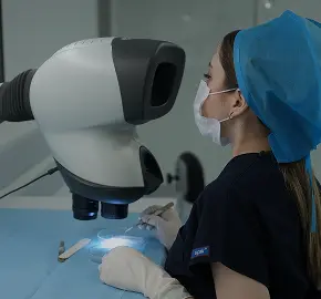 Hair Transplant in Turkey